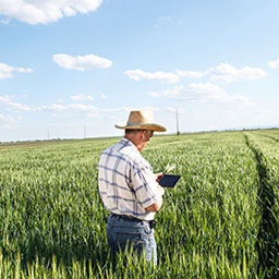 How Technology Creates A Safe Working Environment On Your Farm