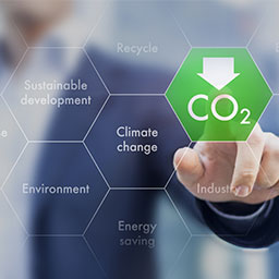The Global Carbon Footprint Of Transportation