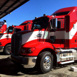 Q&A: Tackling Diversity In The Transport Industry With Lindsay Australia’s Melissa Strong
