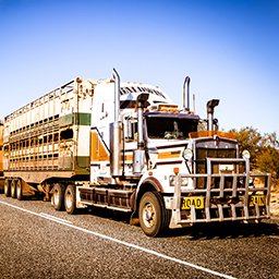 How Innovation Will Drive Success In The Transport Industry