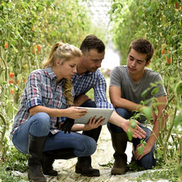 How To Get Your Foot In the Door: Training Opportunities In Transport, Construction And Agriculture