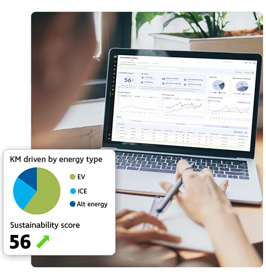 My Sustainability Journey Image